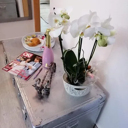 Ondine Luxury Apartament